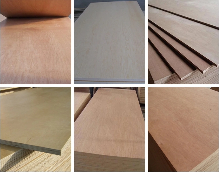 4*8ft Taonga Koeke Maariki Uo Poplar Core Plywood Kore Te Tukunga